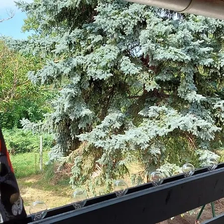 Kikoeto Vendeghaz Apartment